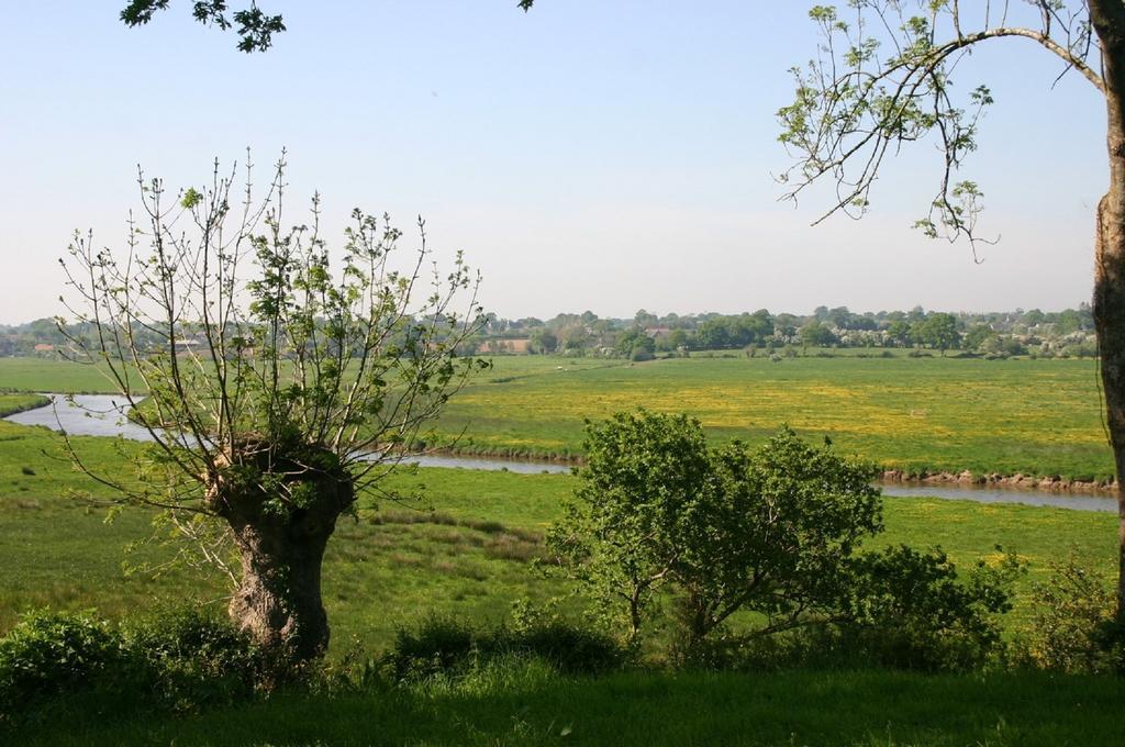 Gite Marguerite Les Moitiers-en-Bauptois エクステリア 写真